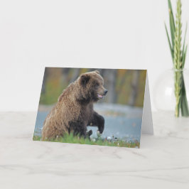 Cartão Urso de Brown do Alasca em Kenai NWR