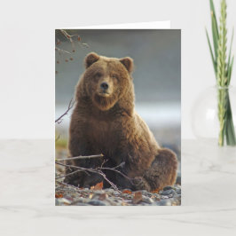 Cartão Urso de Brown do Alasca em Kenai NWR, Alaska