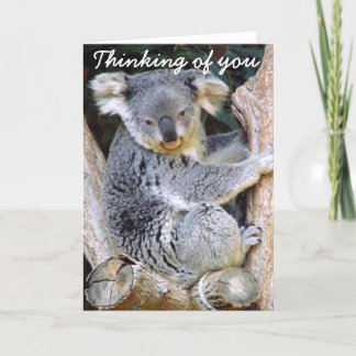 Cartão Urso de Koala Love_