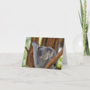 Cartão Urso de Koala Notecard
