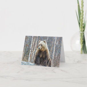 Cartão Urso Grizzly