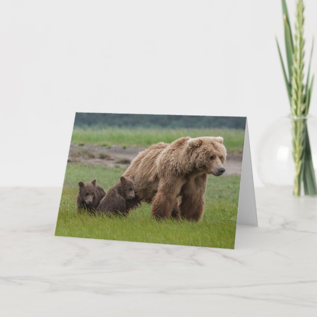 Cartão Urso Grizzly Mãe com Cubs Gêmeos (Frente)