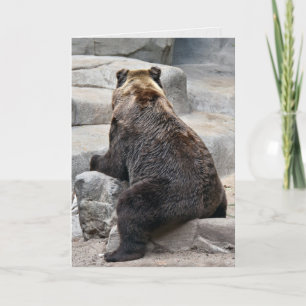 Cartão Urso Grizzly no humor de aniversário de rock