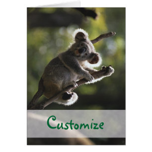 Cartão Urso Koala Absolutamente Adorável