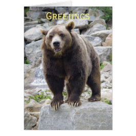 Cartão Urso Kodiak em Pé numa Pedra