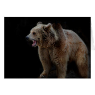 Cartão Urso mal-humorado!