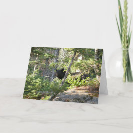 Cartão Urso Negro em Grand Teton