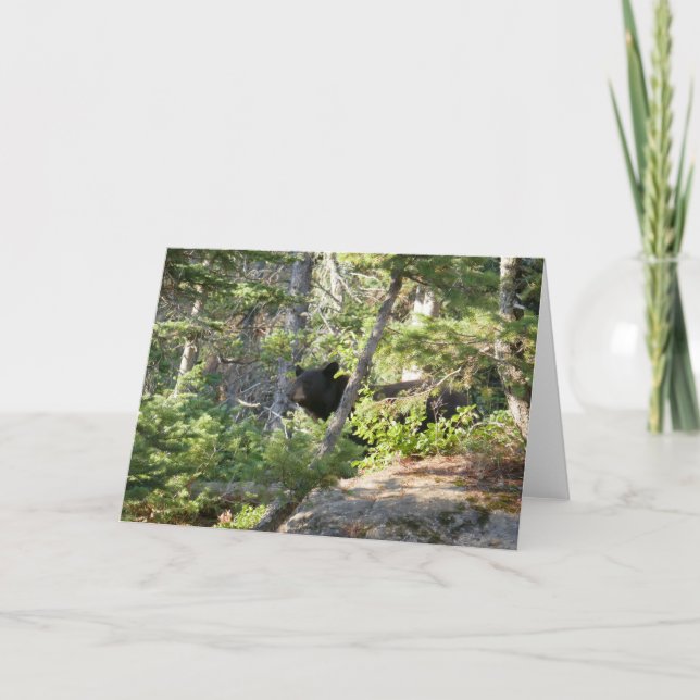 Cartão Urso Negro em Grand Teton (Frente)