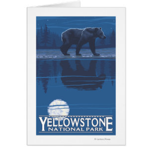 Cartão Urso no luar - parque nacional de Yellowstone
