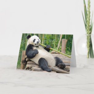 Cartão Urso Panda de Aniversário Mastigando um Colmo de B