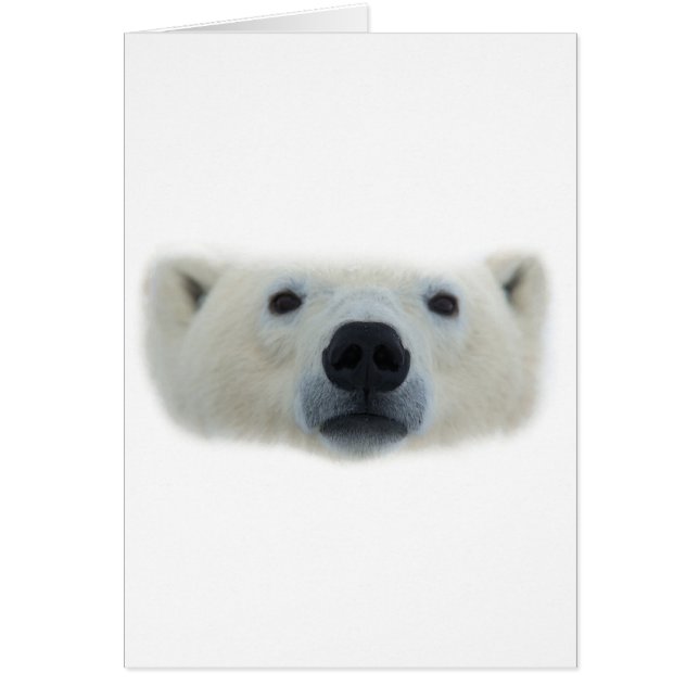 Cartão Urso Polar (Frente)
