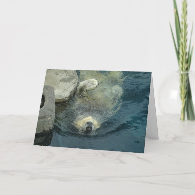 Cartão Urso polar aposentado (Frente)