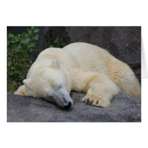 Cartão Urso polar do sono