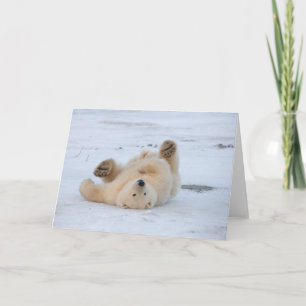 Cartão urso polar, Ursus maritimus, filhote rolando 3