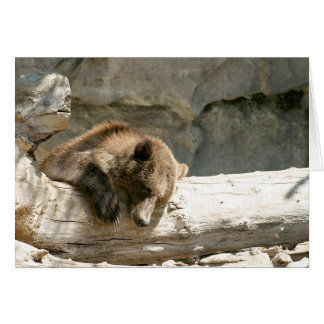 Cartão Urso preguiçoso