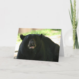 Cartão urso preto