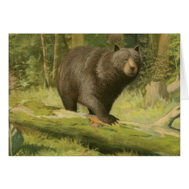 Cartão Urso Preto a Passar num Tronco de Árvore (Frente Horizontal)