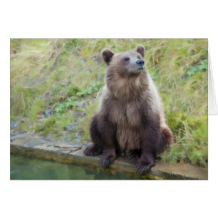 Cartão Urso: "Que é esta coisa de Owling de qualquer