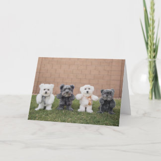 Cartão Ursos de ursinho