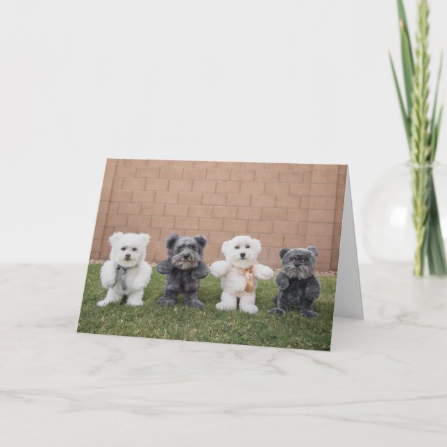 Cartão Ursos de ursinho (Frente)