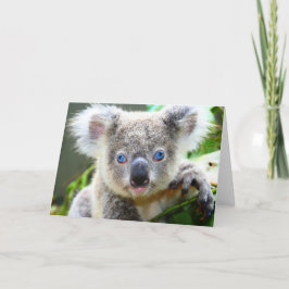 Cartão Ursos Koalás