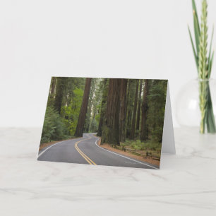 Cartão USA, California, road through Redwood forest