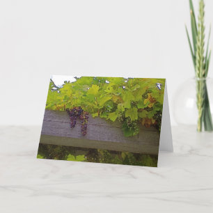 Cartão Uvas de vinhedo