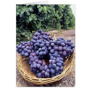 Cartão Uvas do roxo real
