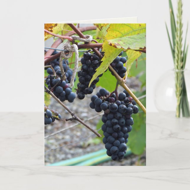 Cartão Uvas em adega (Frente)