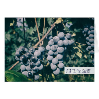 Cartão Uvas Púrpura De Vinho Colheita De Uvas Na Vinha