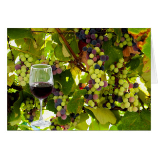 Cartão Uvas Roxas a Crescer na Vinha com Vinho