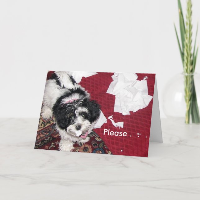 Cartão Vá Bem, Puppy. (Frente)