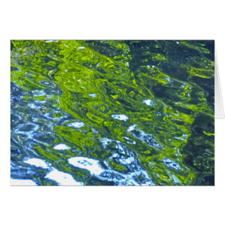 Cartão Vá com o fluxo!