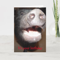 Vá em frente e aperte, Pig Birthday card