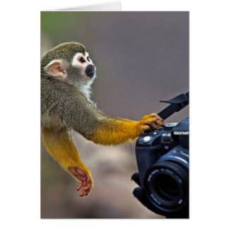 Cartão Vá sobre! deixe-me tomar o tiro