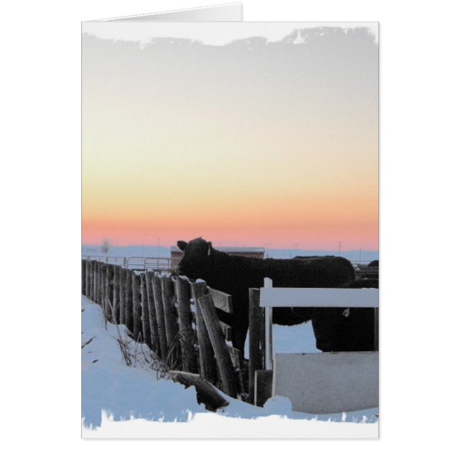 Cartão Vaca Colorida (Frente)