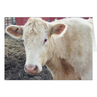 Cartão Vaca de Carole