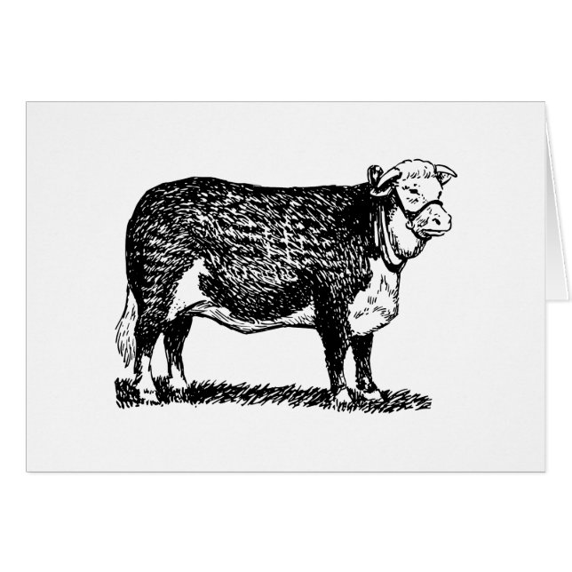 Cartão Vaca de Hereford (Frente horizontal)