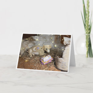 Cartão Vaca de Natal