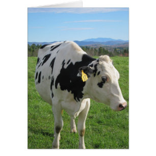 Cartão Vaca de três pernas 5x7