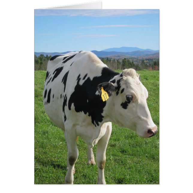 Cartão Vaca de três pernas 5x7 (Frente)