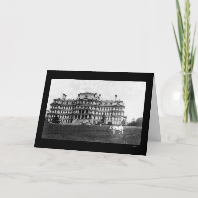 Cartão Vaca do Taft varrendo perto do prédio da Guerra de (Frente)