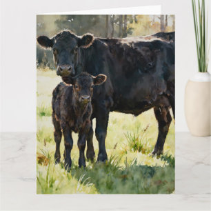 Cartão Vaca e Bezerro Black Angus Estudo B em Aquarelas
