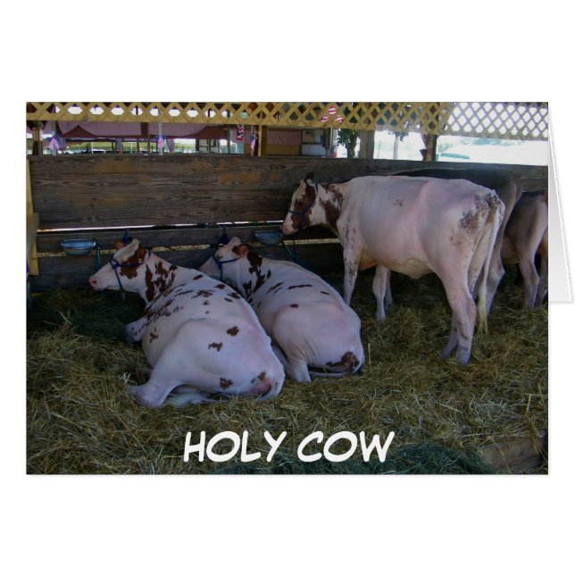 CARTÃO VACA HOLY VOCÊ ACABOU DE VIRAR 50 (Frente Horizontal)
