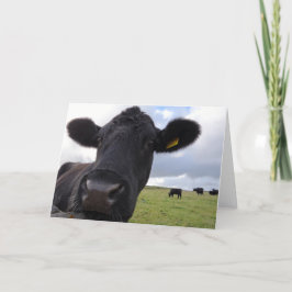 Cartão Vaca irlandesa!