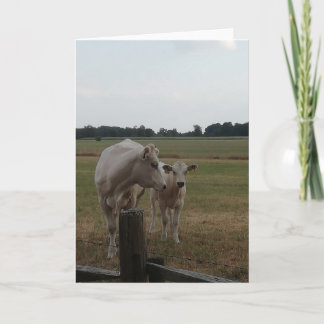 Cartão Vaca-mãe e bebê.