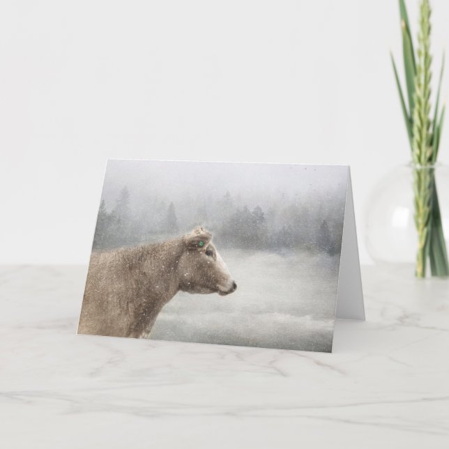 Cartão Vaca na neve em queda (Frente)