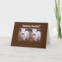 VACAS COMEDICAS DIZEM "FELIZ ANIVERSÁRIO"