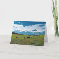 Vacas felizes na fazenda na suiça