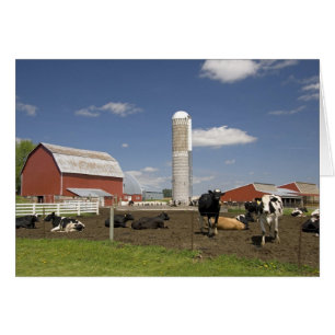 Cartão Vacas na frente de um celeiro vermelho e silo em u